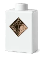 Initio Paragon