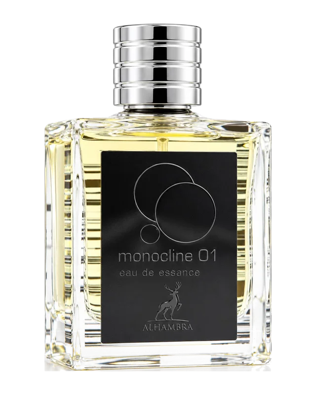 Maison Alhambra Monocline 01